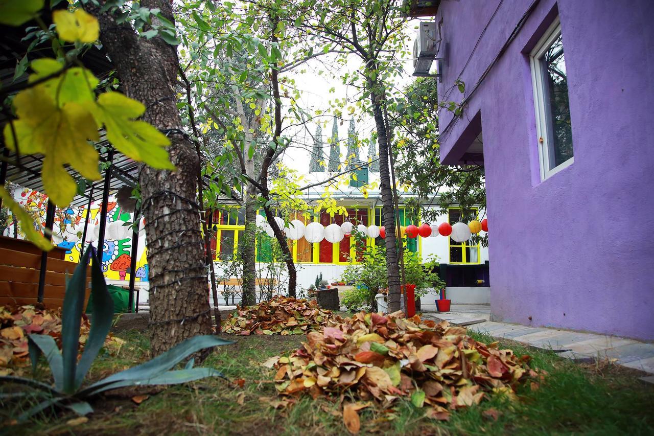 Zgarbi Hostel Τυφλίδα Εξωτερικό φωτογραφία